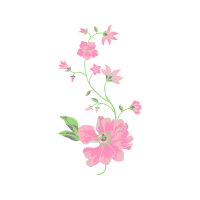 Beach Rose Wedding Beach Rose Wedding