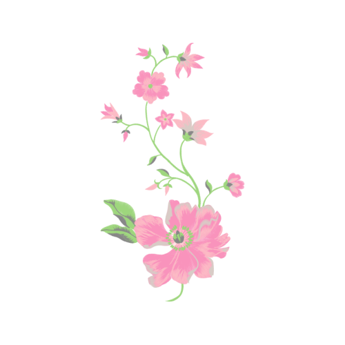 Beach Rose Wedding Beach Rose Wedding