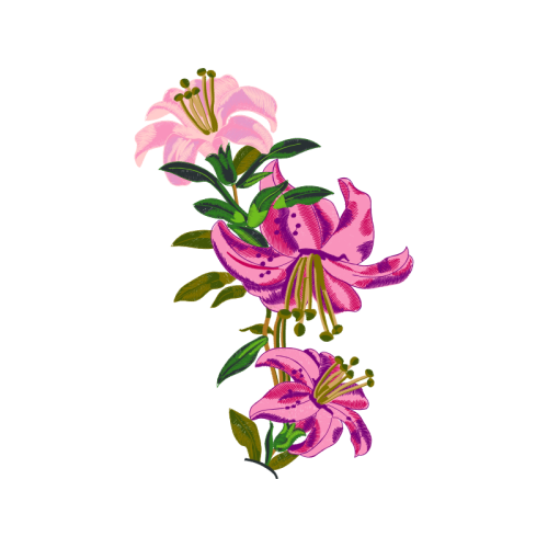 Beach Rose Wedding Beach Rose Wedding