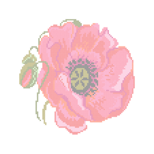 Begonia Wedding Begonia Wedding