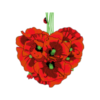 Begonia Wedding Begonia Wedding