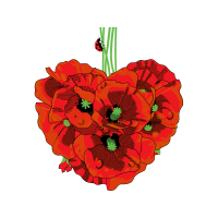 Begonia Wedding Begonia Wedding