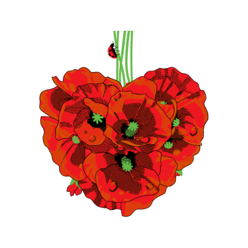 Begonia Wedding Begonia Wedding