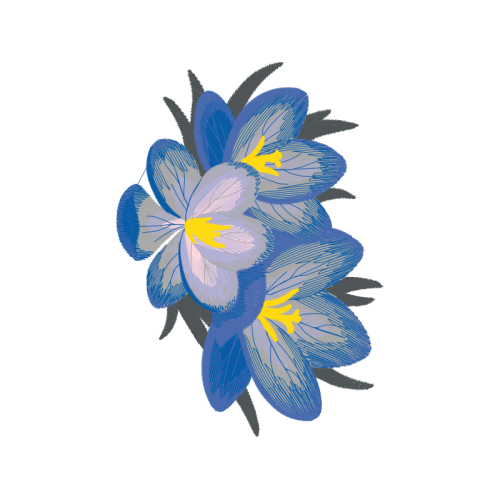 Bengal Clockvine Wedding Bengal Clockvine Wedding