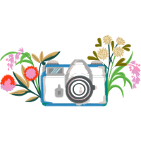 Bentley Motors Limited Wedding Bentley Motors Limited Wedding