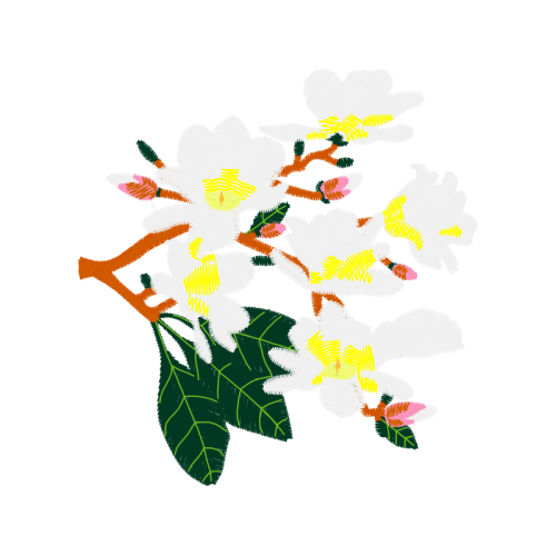 Birds Wedding Birds Wedding