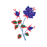 Birds Wedding Birds Wedding