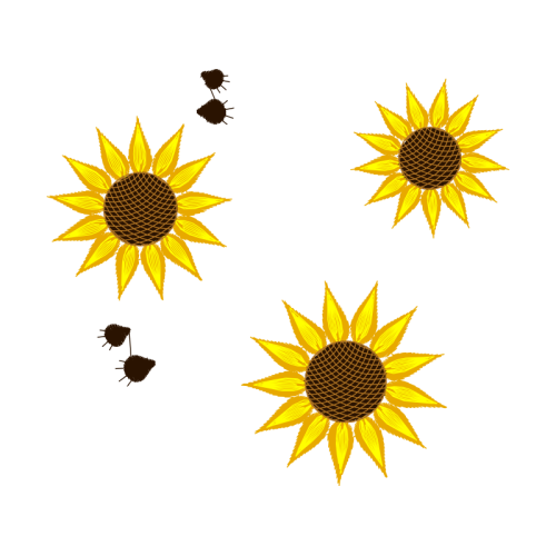 Black Eyed Susan Wedding Black Eyed Susan Wedding