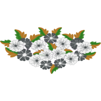 Black Veined White Wedding