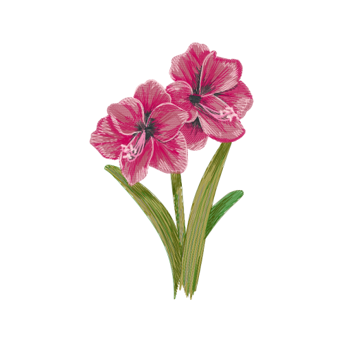 Burnt Tip Orchid Wedding Burnt Tip Orchid Wedding