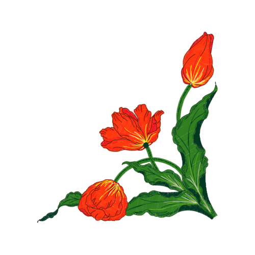 Caesalpinia Wedding Caesalpinia Wedding