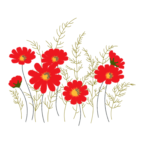 Caesalpinia Wedding Caesalpinia Wedding