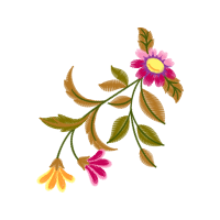 Caesalpinia Wedding Caesalpinia Wedding