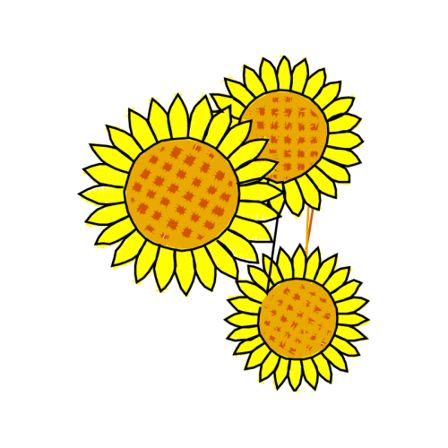 Car Wedding Car Wedding