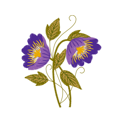 Carolina Rose Wedding Carolina Rose Wedding