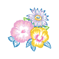 Carolina Rose Wedding Carolina Rose Wedding