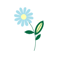 Casos Mem Rias E Viv Ncias Em Terapia Ocupacional Wedding