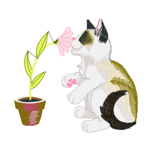 Cat Wedding Cat Wedding