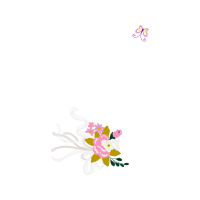 Cattleya Orchids Wedding