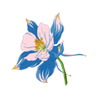 Cattleya Orchids Wedding