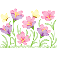 Cattleya Orchids Wedding Cattleya Orchids Wedding