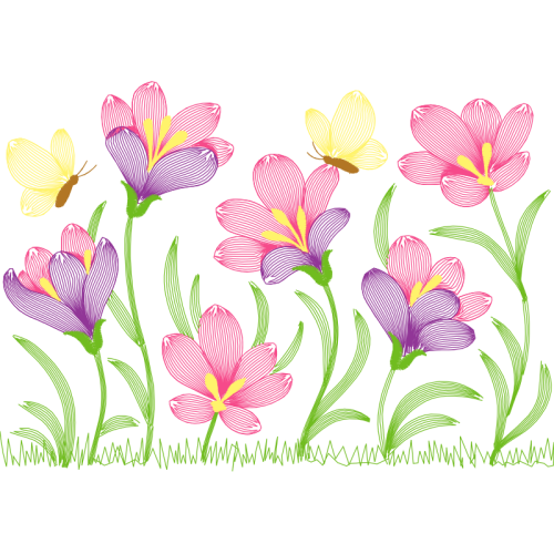 Cattleya Orchids Wedding Cattleya Orchids Wedding