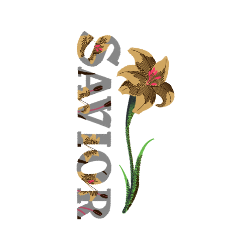 Cattleya Orchids Wedding Cattleya Orchids Wedding