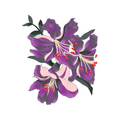 Cattleya Orchids Wedding Cattleya Orchids Wedding