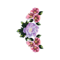 Cattleya Orchids Wedding