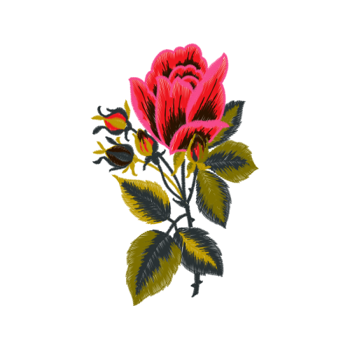 Cattleya Orchids Wedding Cattleya Orchids Wedding