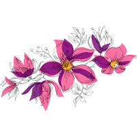 Cattleya Orchids Wedding Cattleya Orchids Wedding