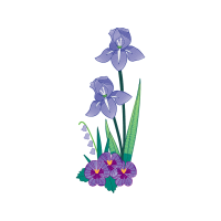 Cattleya Orchids Wedding