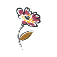 Cattleya Orchids Wedding