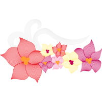 Cattleya Orchids Wedding Cattleya Orchids Wedding