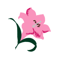 Cattleya Orchids Wedding Cattleya Orchids Wedding