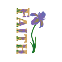 Cattleya Orchids Wedding Cattleya Orchids Wedding