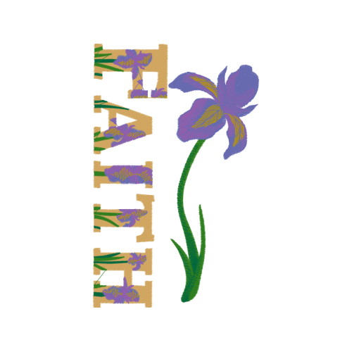 Cattleya Orchids Wedding Cattleya Orchids Wedding