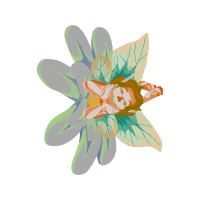 Cattleya Orchids Wedding Cattleya Orchids Wedding