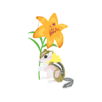 Ceratostylis Wedding