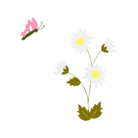 Chamomile Wedding Chamomile Wedding