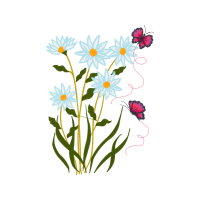 Chamomile Wedding Chamomile Wedding