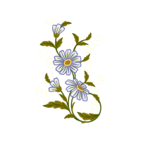 Chamomile Wedding Chamomile Wedding