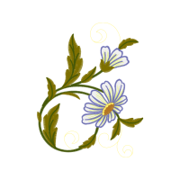 Chamomile Wedding Chamomile Wedding