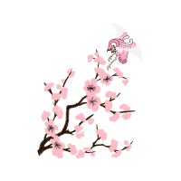 Cherry Blossom Wedding