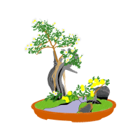 Chinese Sweet Plum Wedding Chinese Sweet Plum Wedding