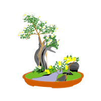 Chinese Sweet Plum Wedding Chinese Sweet Plum Wedding