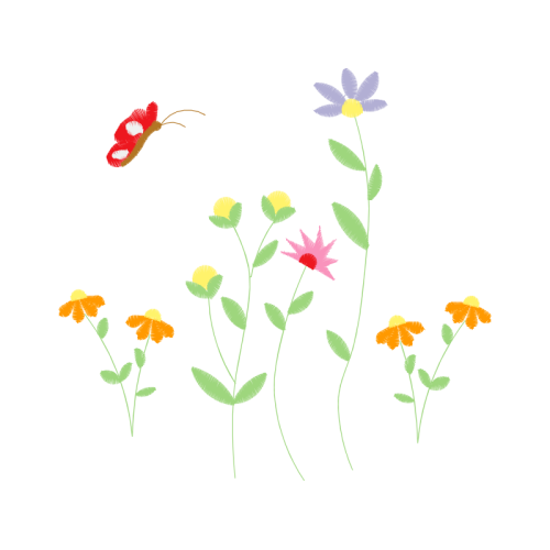 Chrysanthemum Wedding Chrysanthemum Wedding