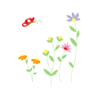 Chrysanthemum Wedding