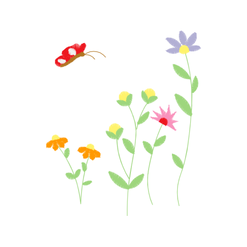 Chrysanthemum Wedding Chrysanthemum Wedding