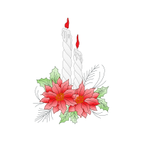 Chrysanthemum Wedding